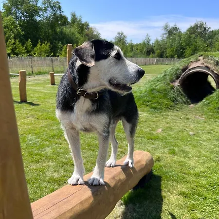 Emsland-camp Camping